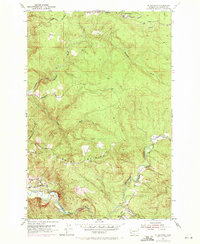 Download a high-resolution, GPS-compatible USGS topo map for Mt Brynion, WA (1971 edition)