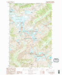 Download a high-resolution, GPS-compatible USGS topo map for Mt Challenger, WA (1995 edition)