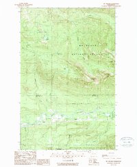Download a high-resolution, GPS-compatible USGS topo map for Mt Higgins, WA (1989 edition)