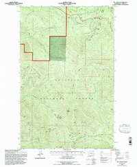 Download a high-resolution, GPS-compatible USGS topo map for Mt Leona, WA (1996 edition)