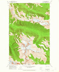 Download a high-resolution, GPS-compatible USGS topo map for Mt Logan, WA (1965 edition)