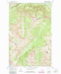 Download a high-resolution, GPS-compatible USGS topo map for Mt Lyall, WA (1987 edition)