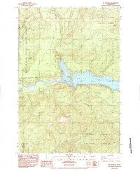 Download a high-resolution, GPS-compatible USGS topo map for Mt Mitchell, WA (1984 edition)