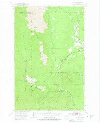 Download a high-resolution, GPS-compatible USGS topo map for Mt Walker, WA (1975 edition)