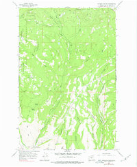 preview thumbnail of historical topo map of Kittitas County, WA in 1966