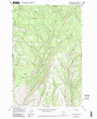Download a high-resolution, GPS-compatible USGS topo map for Naneum Canyon, WA (1987 edition)