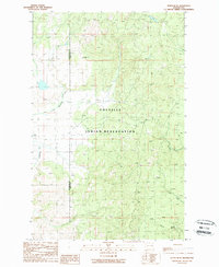 Download a high-resolution, GPS-compatible USGS topo map for Nespelem NE, WA (1989 edition)
