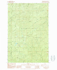 Download a high-resolution, GPS-compatible USGS topo map for Newaukum Lake, WA (1987 edition)