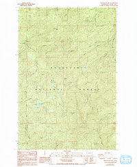 Download a high-resolution, GPS-compatible USGS topo map for Newaukum Lake, WA (1993 edition)