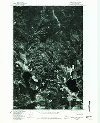 Download a high-resolution, GPS-compatible USGS topo map for Newman Lake, WA (1981 edition)