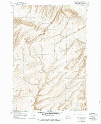 Download a high-resolution, GPS-compatible USGS topo map for Nine Canyon, WA (1966 edition)