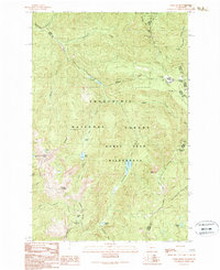 preview thumbnail of historical topo map of Pierce County, WA in 1989