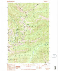 Download a high-resolution, GPS-compatible USGS topo map for Norse Peak, WA (1988 edition)