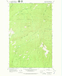 Download a high-resolution, GPS-compatible USGS topo map for North Baldy, WA (1979 edition)