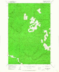 Download a high-resolution, GPS-compatible USGS topo map for North Nemah, WA (1963 edition)