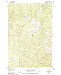Download a high-resolution, GPS-compatible USGS topo map for North Nemah, WA (1985 edition)