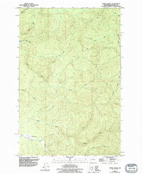 Download a high-resolution, GPS-compatible USGS topo map for North Nemah, WA (1994 edition)