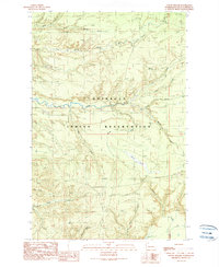 Download a high-resolution, GPS-compatible USGS topo map for OTook Prairie, WA (1990 edition)