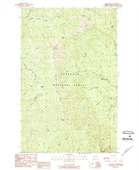 Download a high-resolution, GPS-compatible USGS topo map for Old Baldy, WA (1989 edition)