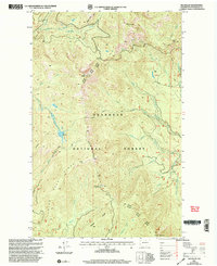 Download a high-resolution, GPS-compatible USGS topo map for Old Baldy, WA (2004 edition)
