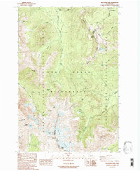 Download a high-resolution, GPS-compatible USGS topo map for Old Snowy Mtn, WA (1989 edition)