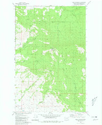 Download a high-resolution, GPS-compatible USGS topo map for Omak Mountain, WA (1981 edition)