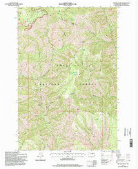 Download a high-resolution, GPS-compatible USGS topo map for Oregon Butte, WA (1998 edition)
