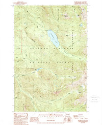 Download a high-resolution, GPS-compatible USGS topo map for Packwood Lake, WA (1989 edition)