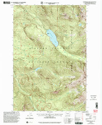 Download a high-resolution, GPS-compatible USGS topo map for Packwood Lake, WA (2003 edition)