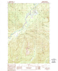 Download a high-resolution, GPS-compatible USGS topo map for Packwood, WA (1989 edition)