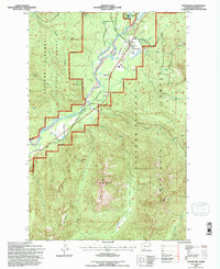 Download a high-resolution, GPS-compatible USGS topo map for Packwood, WA (1996 edition)