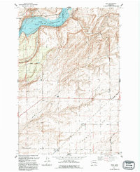 Download a high-resolution, GPS-compatible USGS topo map for Page, WA (1992 edition)