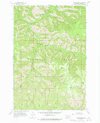 Download a high-resolution, GPS-compatible USGS topo map for Panjab Creek, WA (1977 edition)