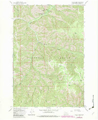 Download a high-resolution, GPS-compatible USGS topo map for Panjab Creek, WA (1983 edition)