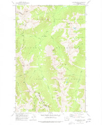 Download a high-resolution, GPS-compatible USGS topo map for Pasayten Peak, WA (1977 edition)