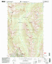 Download a high-resolution, GPS-compatible USGS topo map for Pasayten Peak, WA (2006 edition)