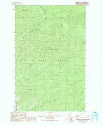 Download a high-resolution, GPS-compatible USGS topo map for Pearrygin Peak, WA (1991 edition)