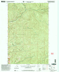 Download a high-resolution, GPS-compatible USGS topo map for Pearrygin Peak, WA (2004 edition)