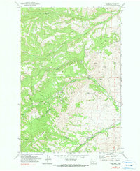Download a high-resolution, GPS-compatible USGS topo map for Pine Mtn, WA (1980 edition)