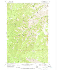 preview thumbnail of historical topo map of Garfield County, WA in 1971
