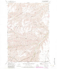 preview thumbnail of historical topo map of Asotin County, WA in 1971