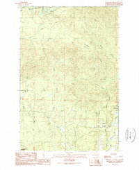 Download a high-resolution, GPS-compatible USGS topo map for Railroad Camp, WA (1990 edition)