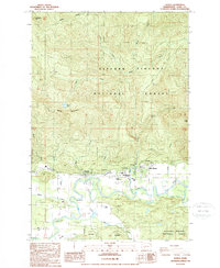 Download a high-resolution, GPS-compatible USGS topo map for Randle, WA (1989 edition)