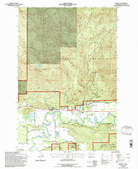 Download a high-resolution, GPS-compatible USGS topo map for Randle, WA (1996 edition)