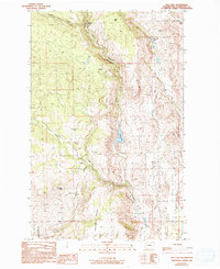 Download a high-resolution, GPS-compatible USGS topo map for Rat Lake, WA (1993 edition)