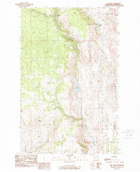 Download a high-resolution, GPS-compatible USGS topo map for Rat Lake, WA (1989 edition)