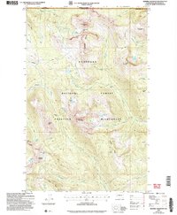Download a high-resolution, GPS-compatible USGS topo map for Remmel Mountain, WA (2006 edition)