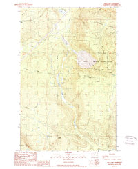Download a high-resolution, GPS-compatible USGS topo map for Riley Lake, WA (1989 edition)