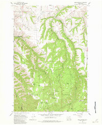 Download a high-resolution, GPS-compatible USGS topo map for Rose Springs, WA (1982 edition)