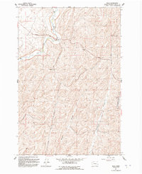 Download a high-resolution, GPS-compatible USGS topo map for Rulo, WA (1992 edition)